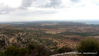 stello marchesa di Cassibile-10-02-2015 19-59-32